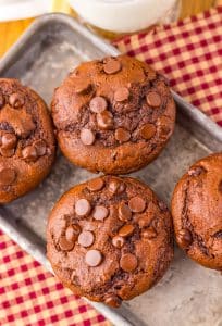 double chocolate chunk muffins on a metal tray