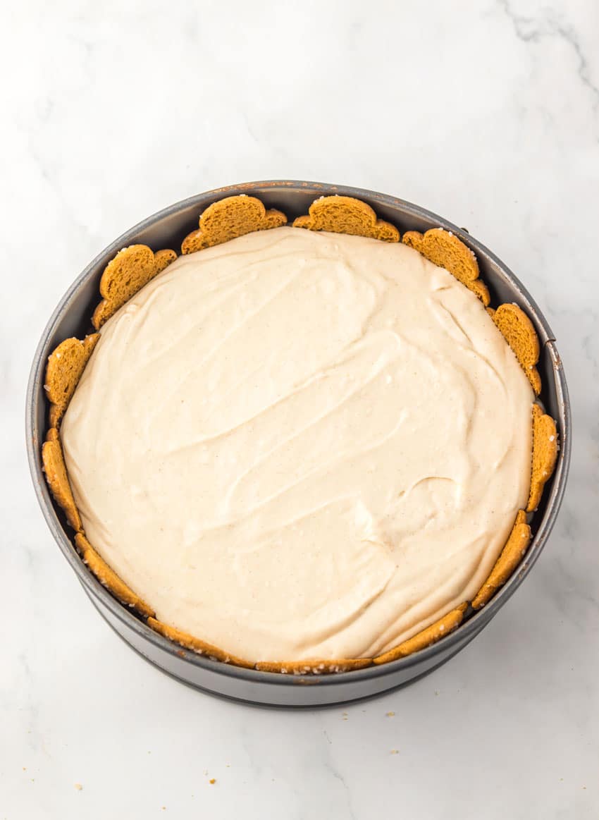 an overhead image showing a homemade no bake cheesecake in a metal springform pan