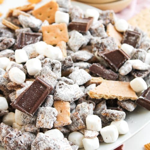 S'MORES MUDDY BUDDIES ON A WHITE PLATE
