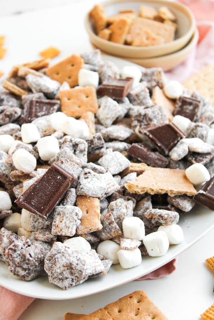 S'MORES MUDDY BUDDIES ON A WHITE PLATE