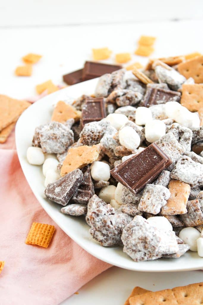 S'MORES MUDDY BUDDIES ON A WHITE PLATE