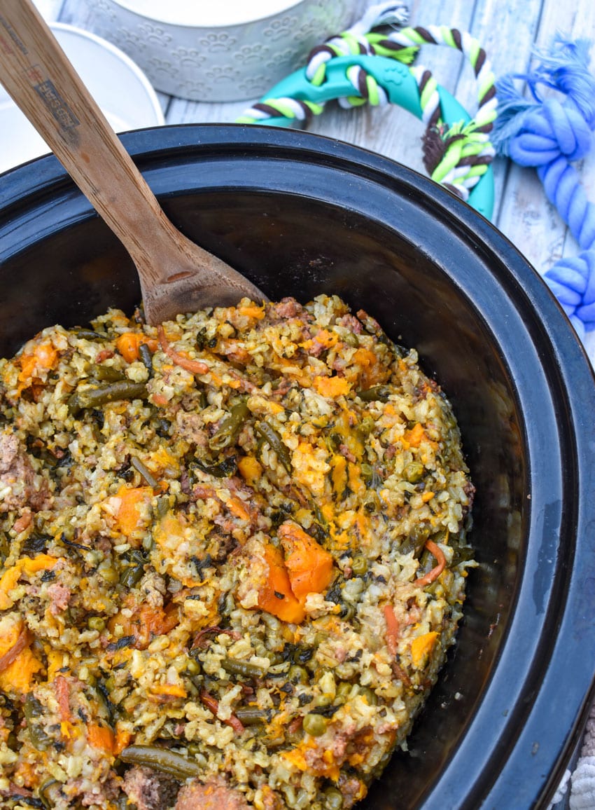 a wooden spoon scooping homemade dog food out of the black bowl of a slow cooker