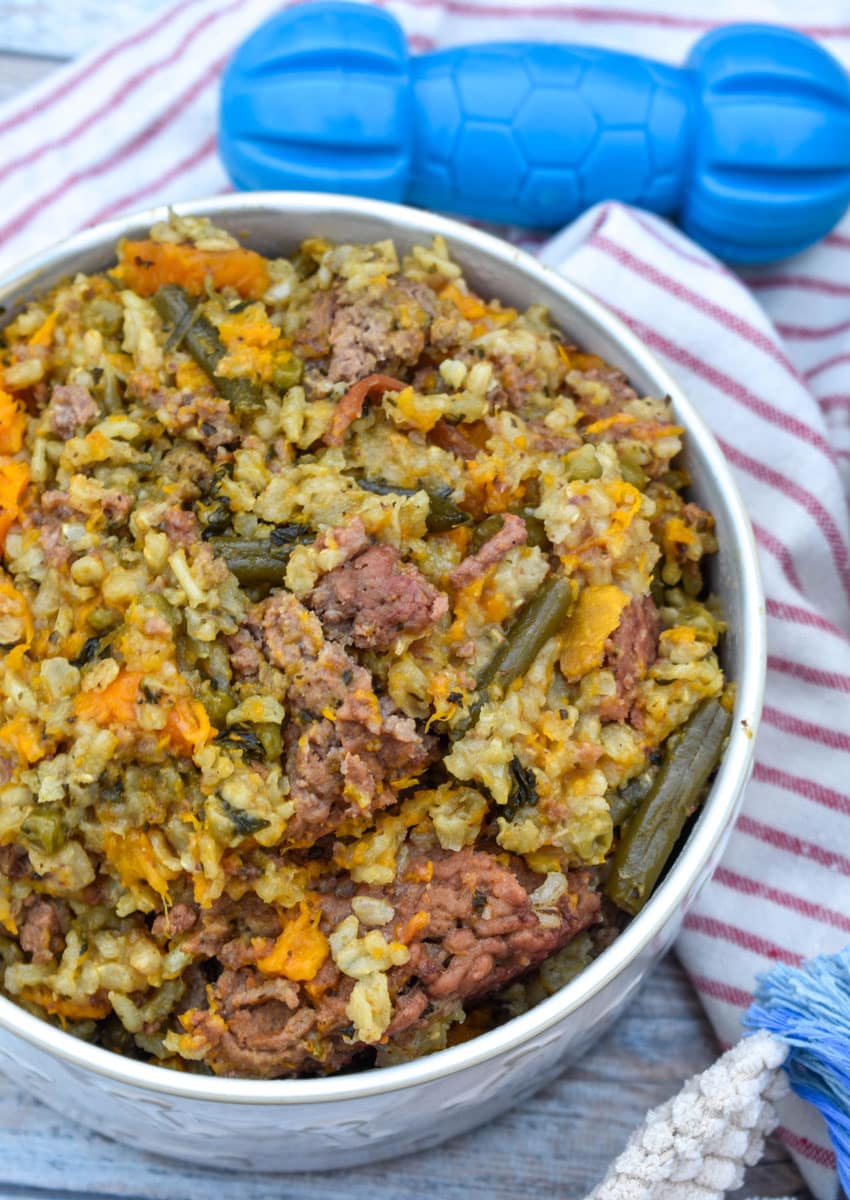 slow cooker homemade dog food in a white ceramic dog bowl