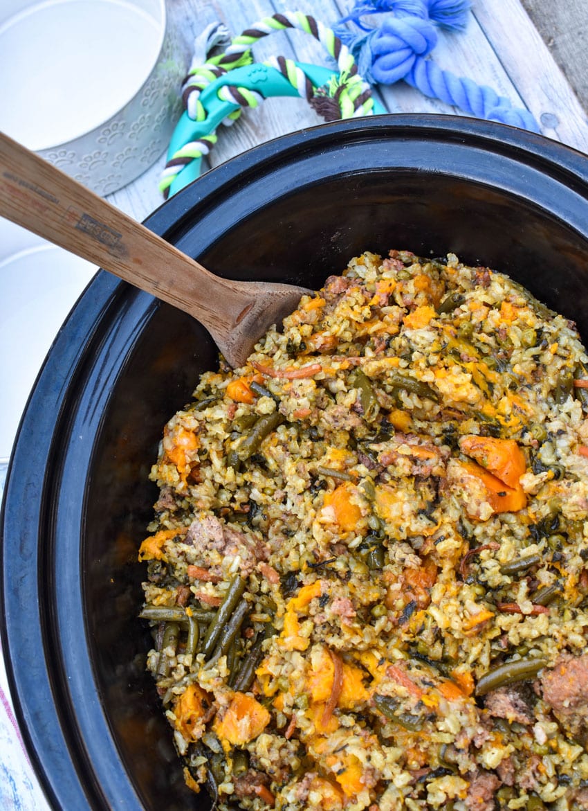 a wooden spoon scooping homemade dog food out of the black bowl of a slow cooker
