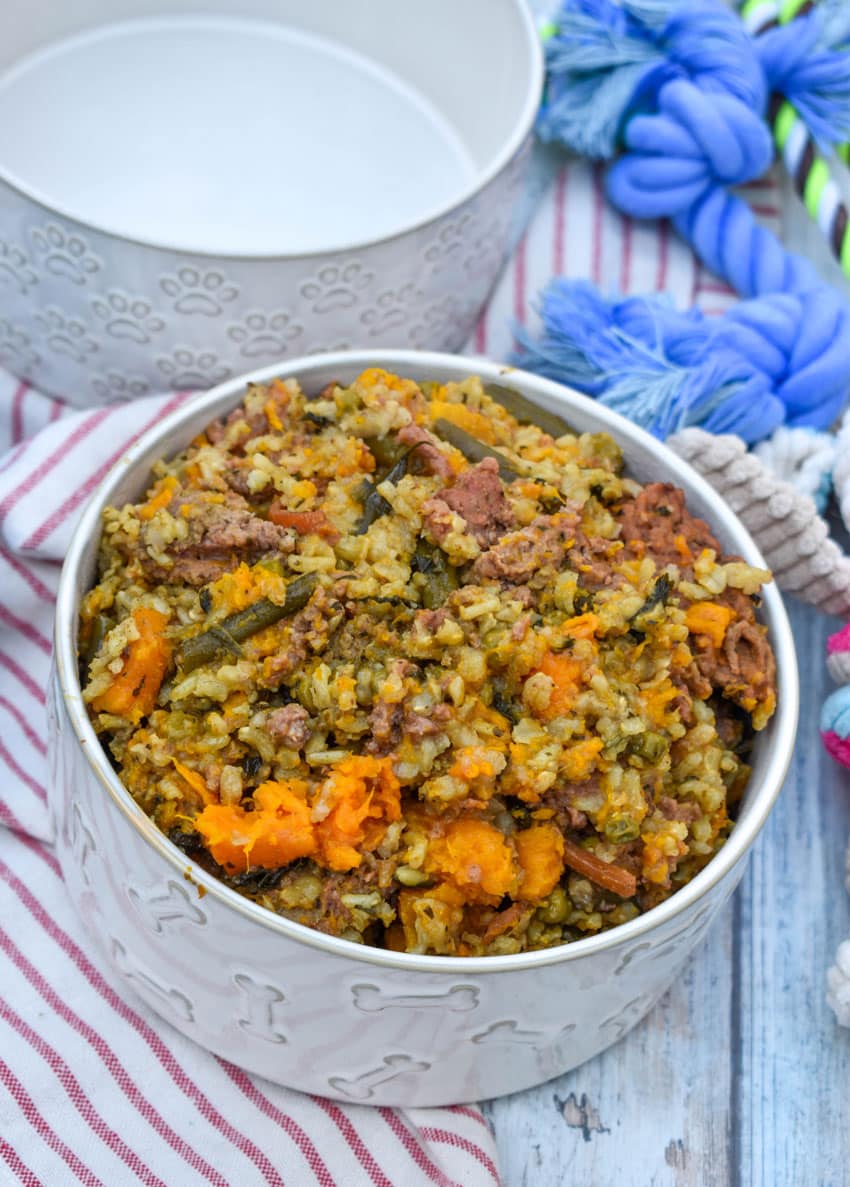slow cooker homemade dog food in a white ceramic dog bowl