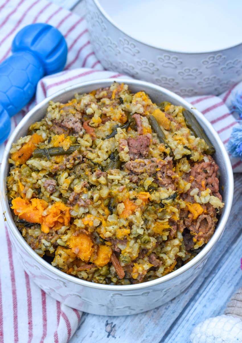slow cooker homemade dog food in a white ceramic dog bowl