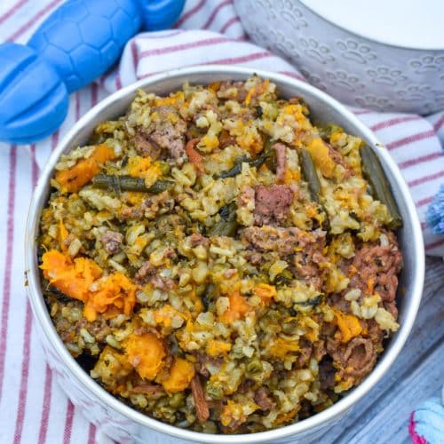 slow cooker homemade dog food in a white ceramic dog bowl