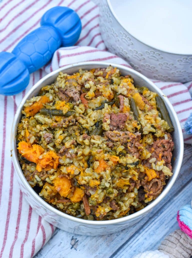 slow cooker homemade dog food in a white ceramic dog bowl
