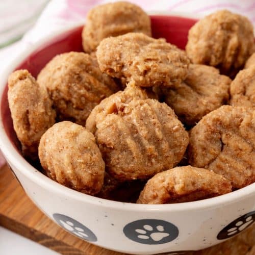 homemade cat treats in a small white ceramic bowl