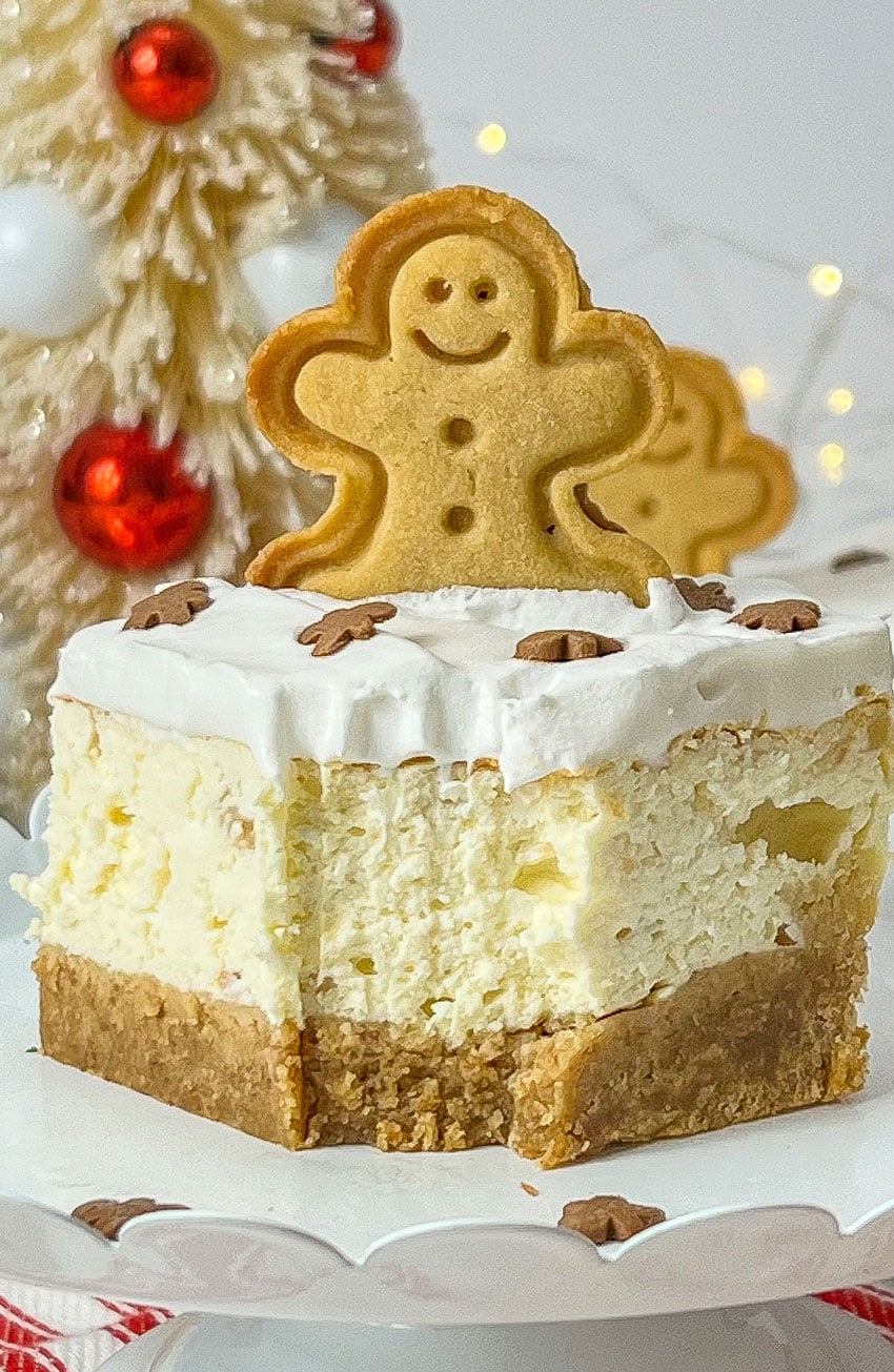 a close up of a bitten gingerbread cheesecake bar